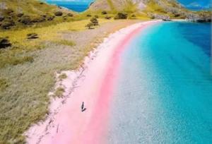 Komodoku Daily Trip Labuan Bajo