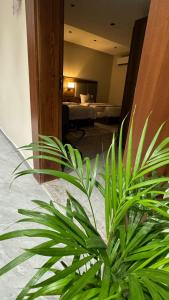 أساليب بلاتينيوم للشقق المخدومة