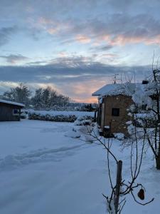 Tinyhaus mit Sauna -RESET im Vilstal - Zurück zum Ursprung