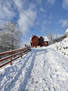 Pensiunea Cabana Viselor ,Apuseni