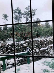 Executive Home in Jeju