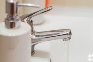 Parkside Haven Apartment - Copou