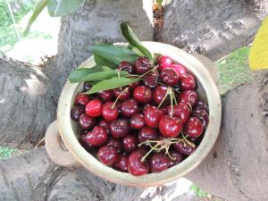 Residencia en Casa de artista