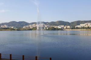 Elida Central Studio apartment