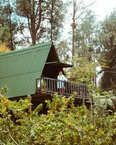 Cardinal Glamping - La Pradera