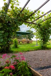 B&B / Chambres d'hotes Le Chene d’Or : photos des chambres