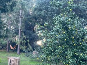 Bungalow Sobre Ruedas Viento Potro