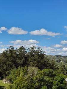 Gardenia casa de Aroma de la Sierra