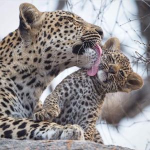 Yala Grand Homestay - Ubytování bez kategorie ve městě Tissamaharama