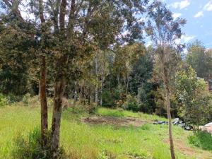 Cabaña Familiar Puerto Montt