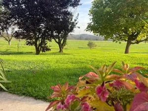 FeWo - Natur, Ruhe und Erholung - Berg