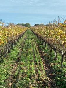 Château Laborde Caudalie
