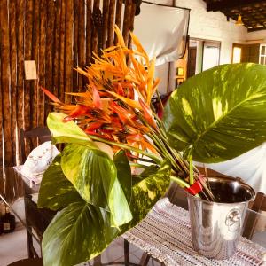 Pousada Bela Vista ATAPUZ