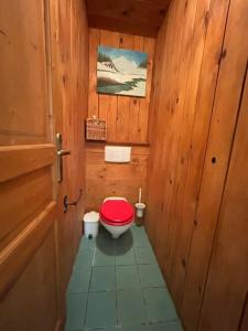 Chalets Chalet de l-Ours - Pla d-Adet : photos des chambres
