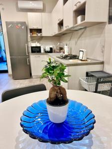 La Casa di Giò - Free Space n26