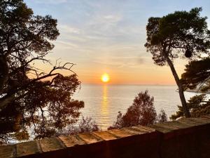 Cozy Studio with Sea and Old Town View