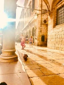 Cozy Studio with Sea and Old Town View
