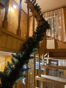 Batkivska Svitlitsa NEW Без господарів