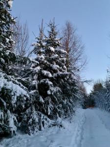 Moderni vierasmökki