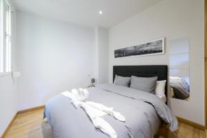 Amplio Piso en Madrid Centro con Vistas al Templo de Debod