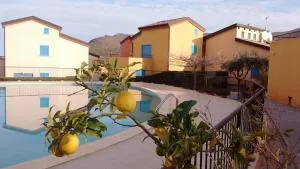 Les Terrasses de LOZARI de Nadine et Claude - Palasca