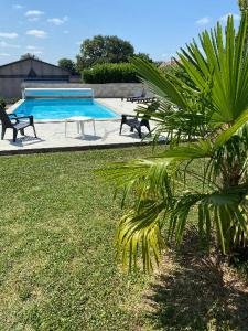 Maisons de vacances Chez Pepe et Moumoune : photos des chambres