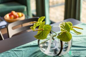 Dom w Starej Morawie, MyWeekpl