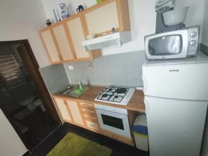 Apartman Saša P