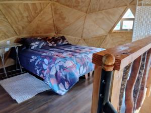 Domos Entre Luna y Bosque