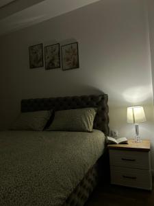 Serenity Apartment - Ubytování bez kategorie ve městě Kragujevac