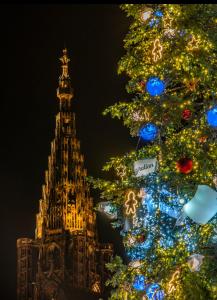 Strasbourg Apartment with parking