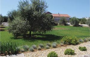 Apartment Bibinje Tezacki Put Iv