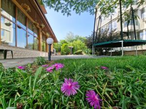 Айляк Клуб Хисаря - Бутиков Хотел&СПА с Elegant UltraInclusive