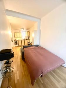 Appartements Le Metropolitain : photos des chambres