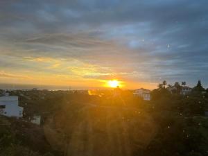 Marbella Boutique Art suites