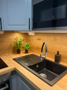Mias - Szopy 2 Riverside Suite by Lion Apartments
