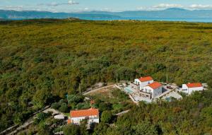 Nice Home In Dobrinj With Wifi