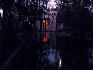 barefoot jungle studios