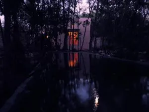 barefoot jungle studios - Francisco Uh May