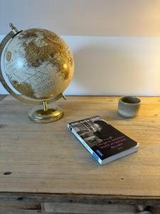 Appartements Hyper centre Sous les toits Auxerre : photos des chambres