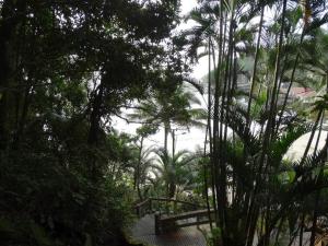 Apartamento com Vista Deslumbrante para o Mar com 4 suítes - Guarujá, SP