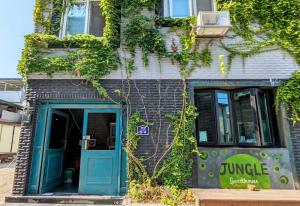단양 Jungle guesthouse 3성급 숙소 로비