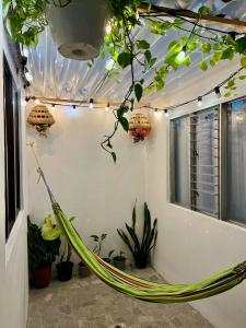 Entre Jardines