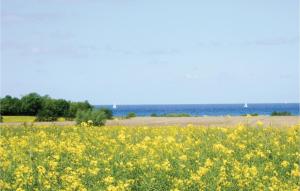 1 Bedroom Lovely Apartment In Kirchdorf