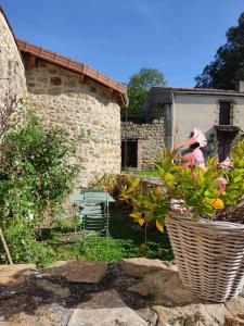 Maisons de vacances Coccinelle : photos des chambres