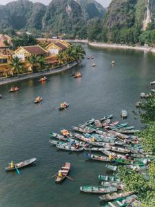 Azalea Tam Coc Ninh Bình