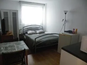 Grande chambre privée avec toilette partagée - Chartrettes