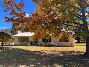 Cann Valley Farm - Delegate