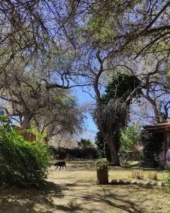 Casa Luz y Armonía - Las Tapias
