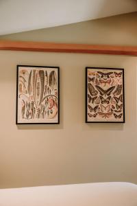 Oak Meadows House - A unique home near Yosemite